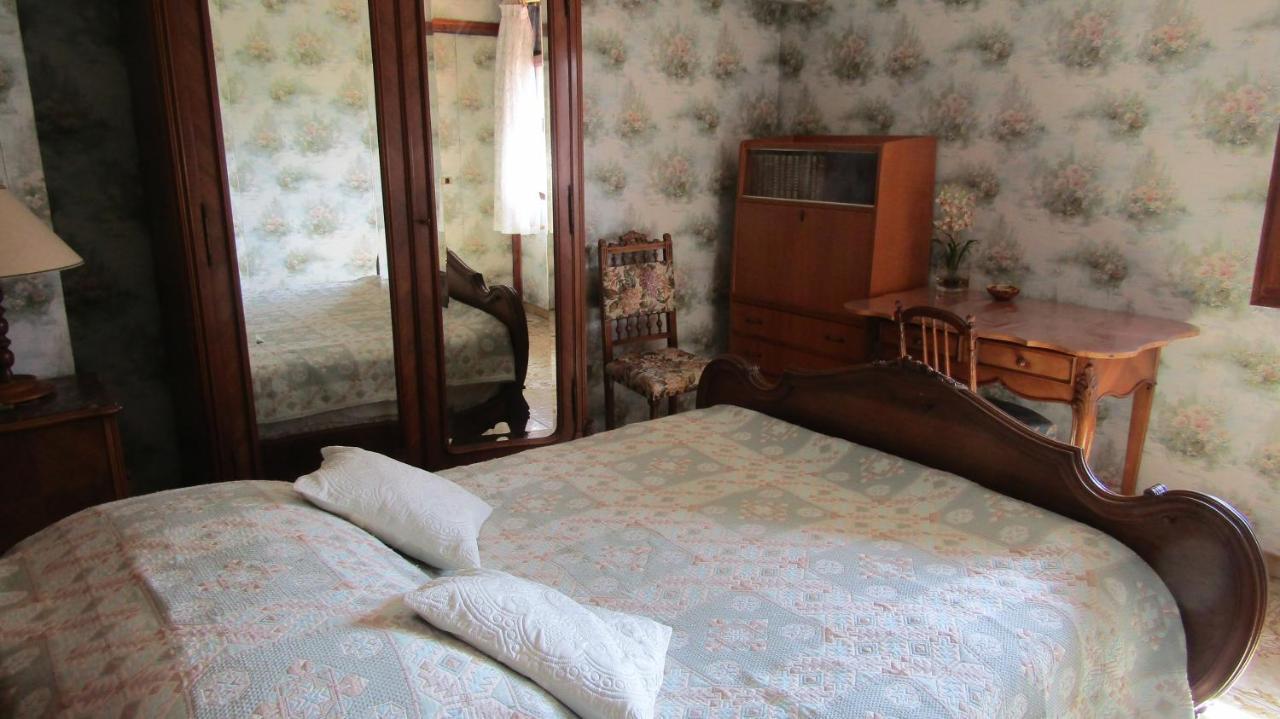 Chambre Salle De Bains Privee Jardin Arbore Montpellier Eksteriør bilde